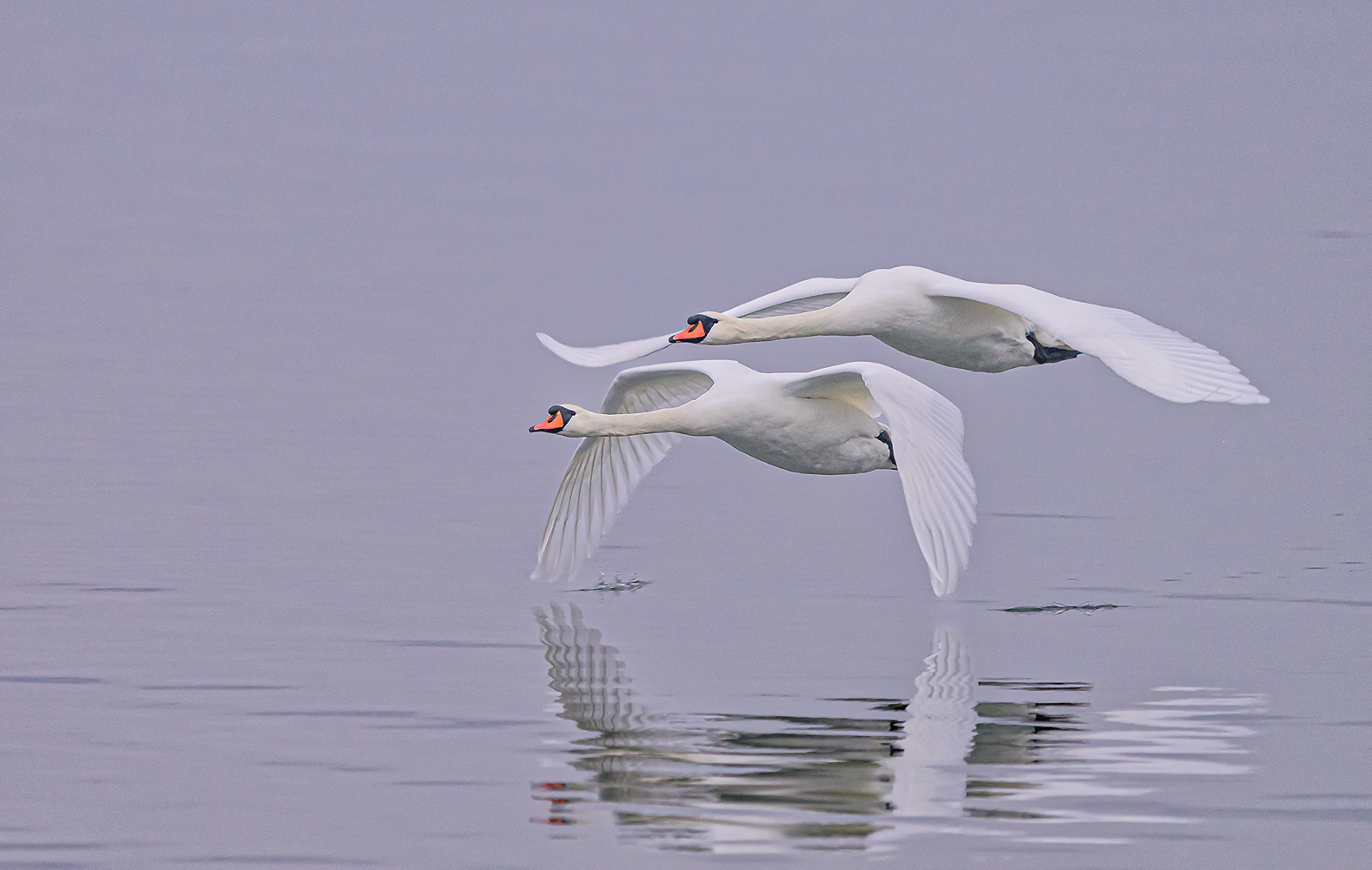 Vorbeiflug