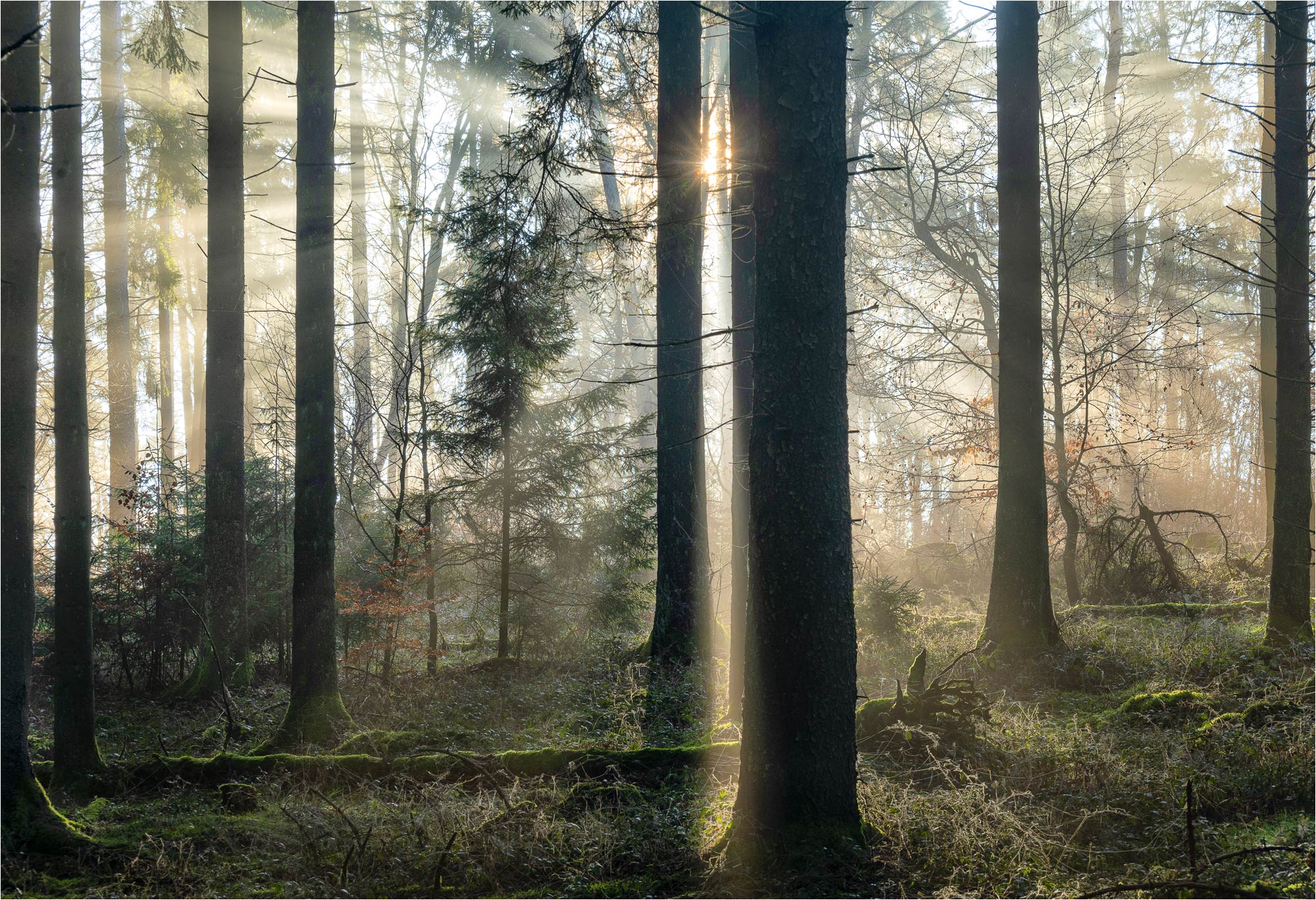 Lichtblicke