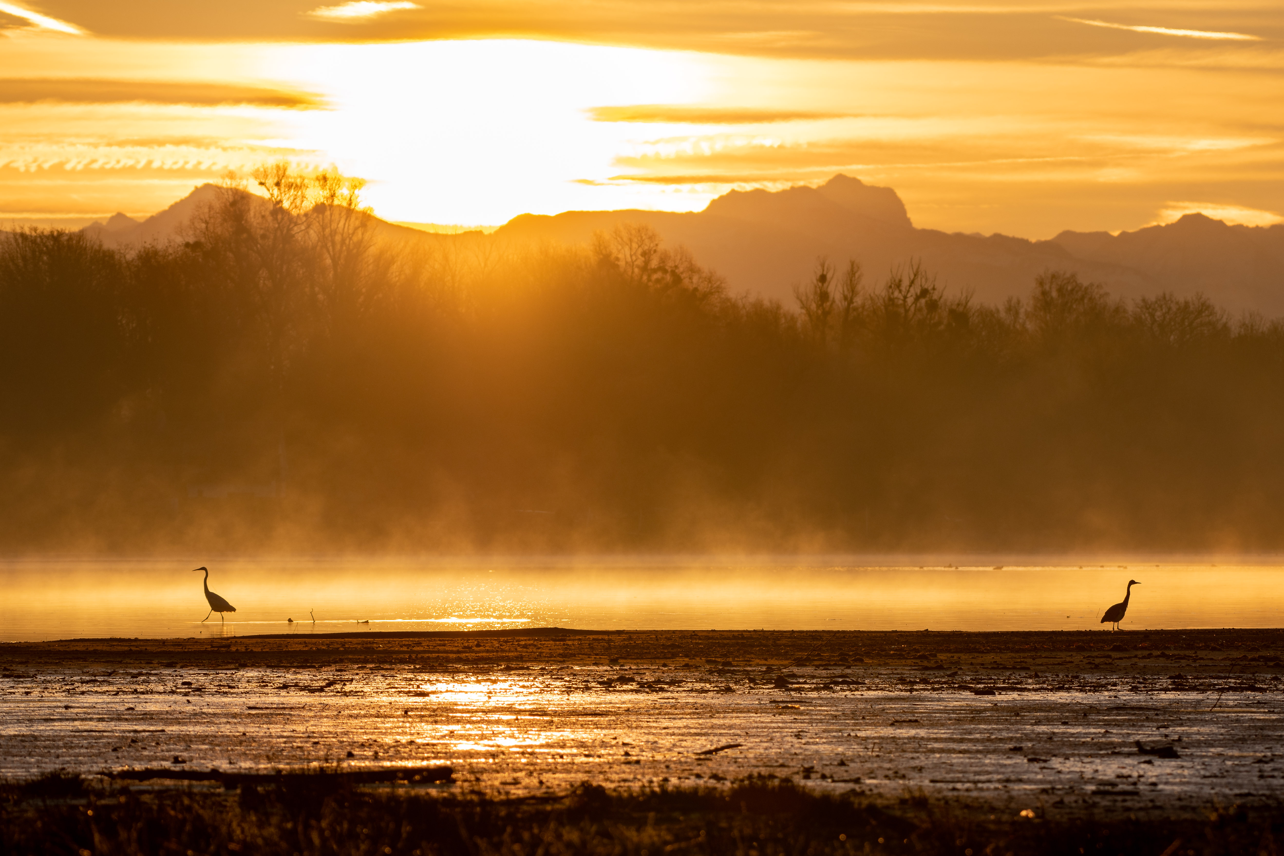 Goldener Morgen