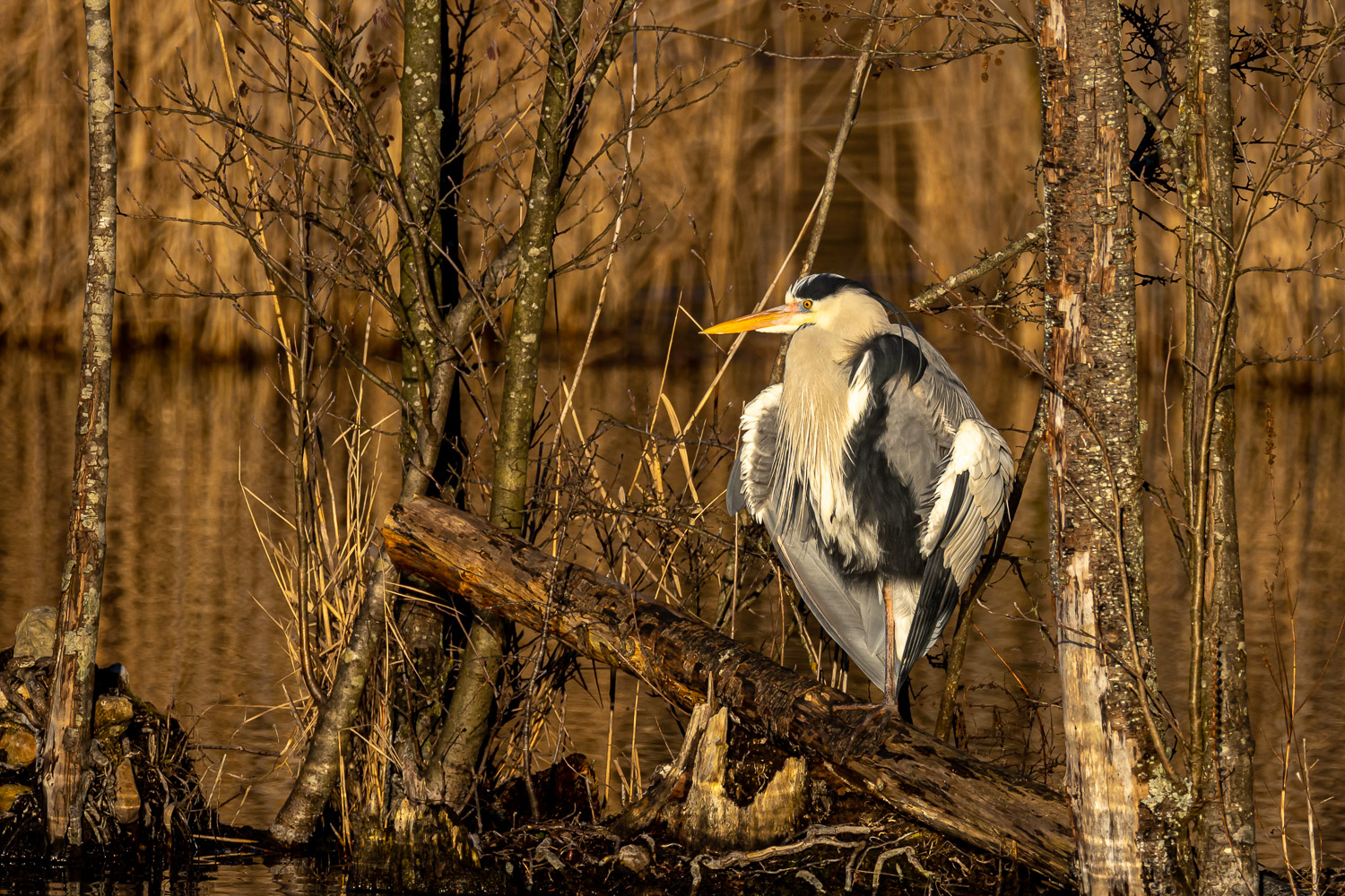 Trocknen in der Abendsonne