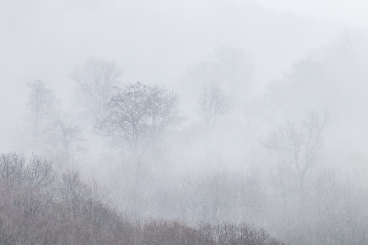 Nebel am Berg