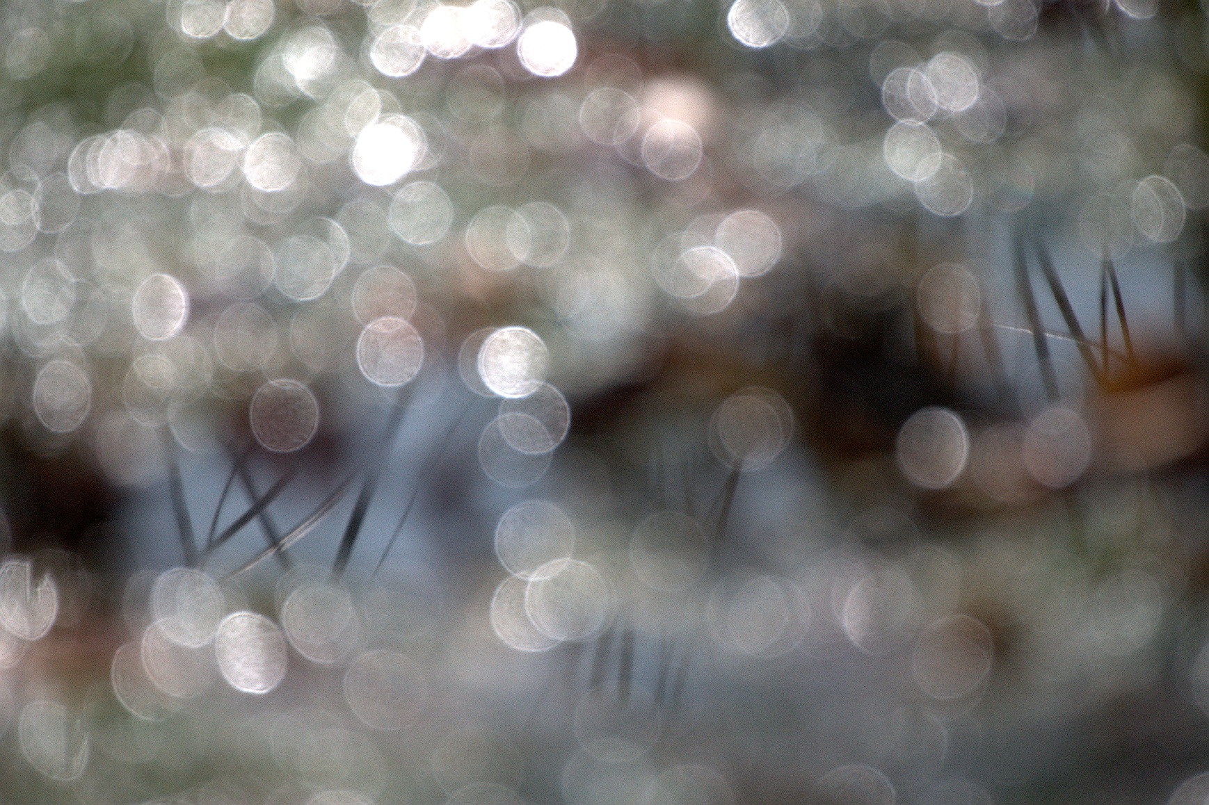 Lichtreflexe am Teich...
