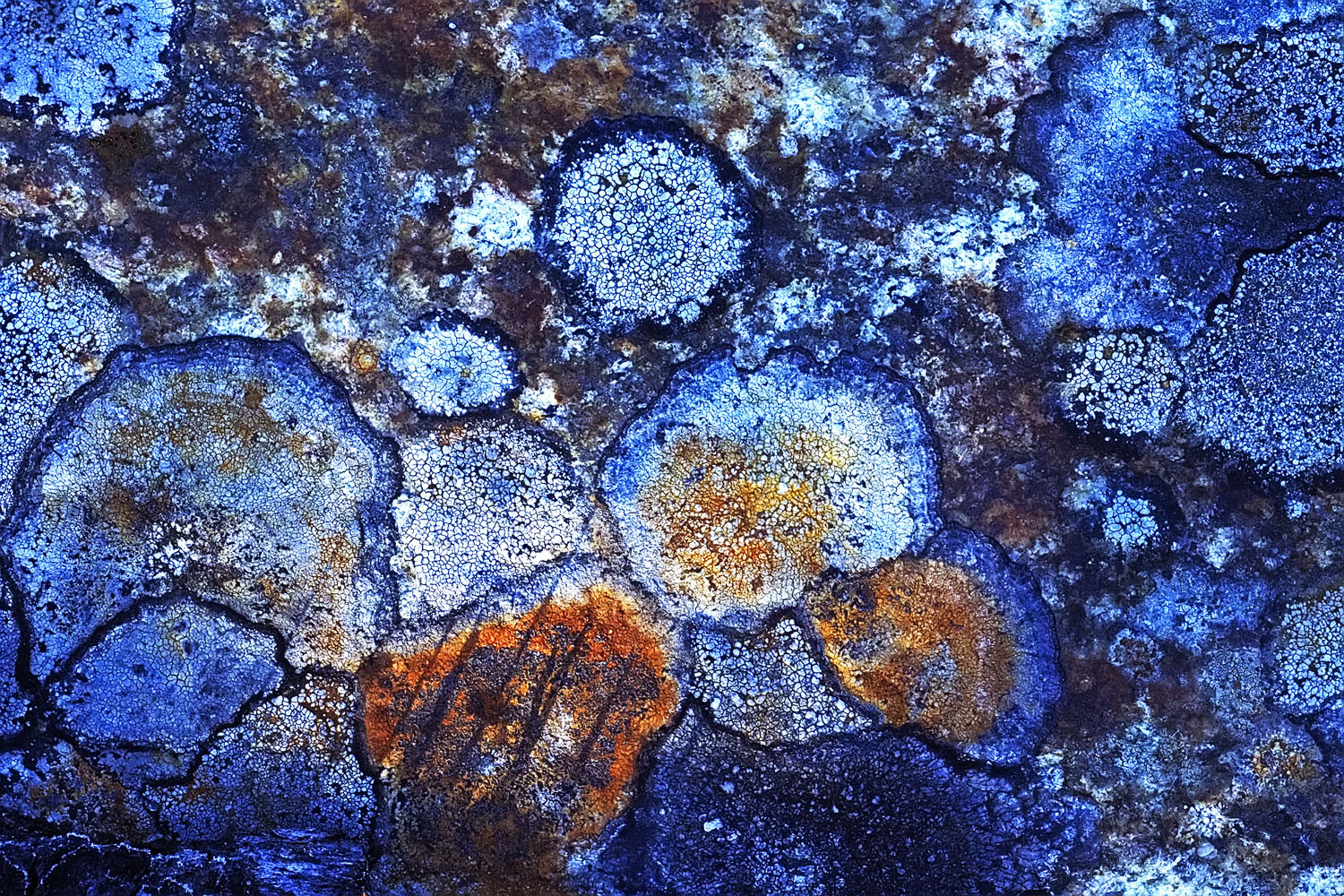 Überwiegend Blau