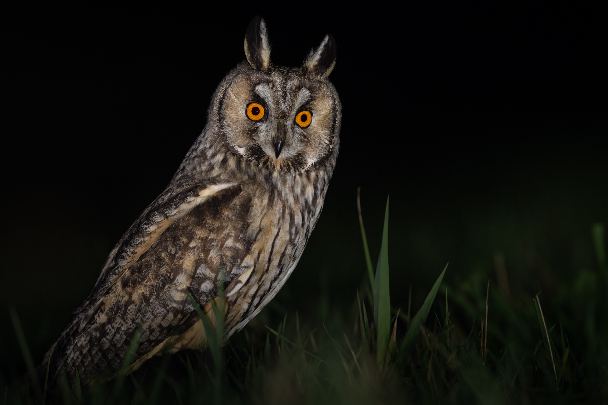 Nähe