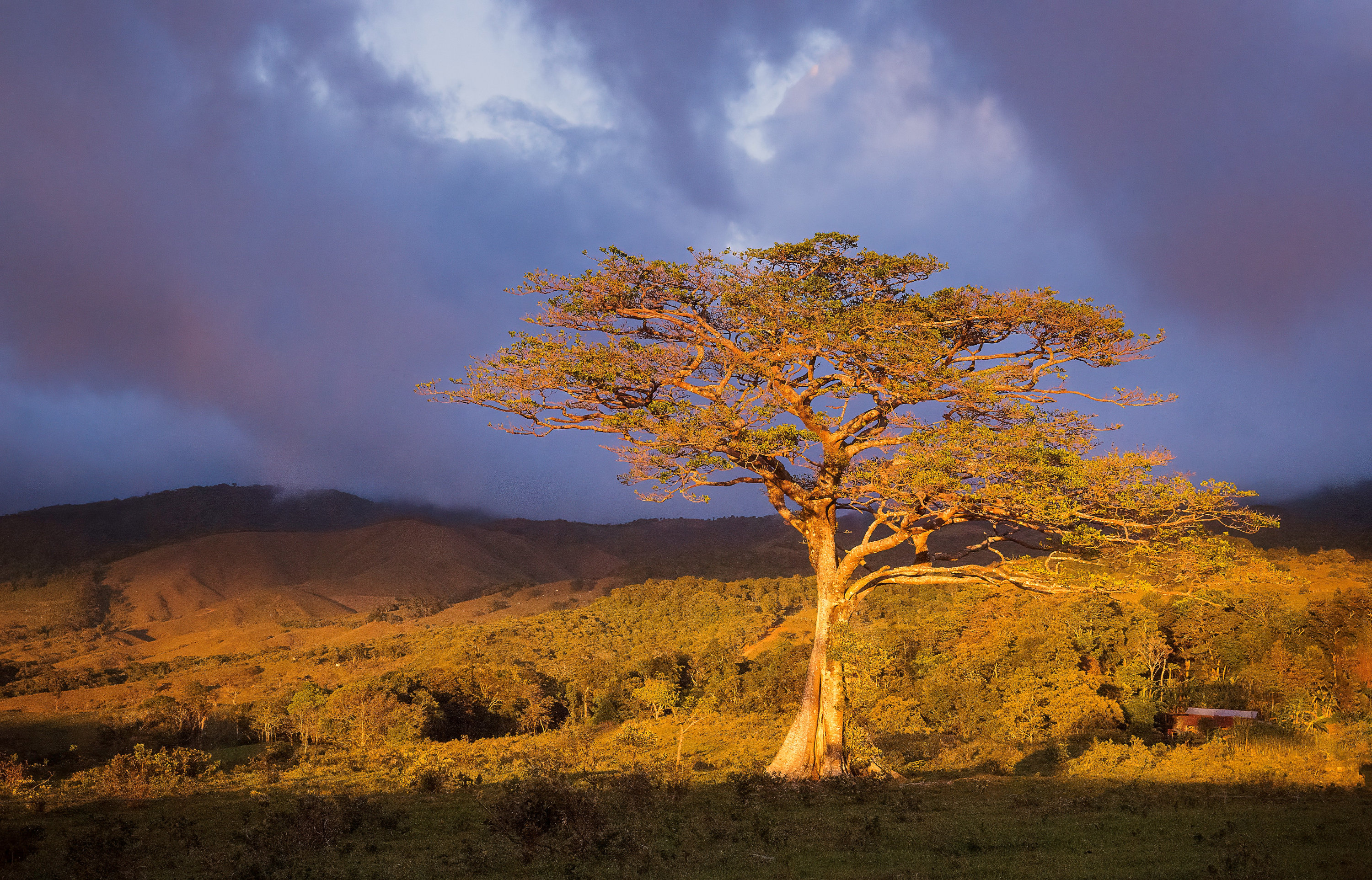 Atardecer al Tenorio