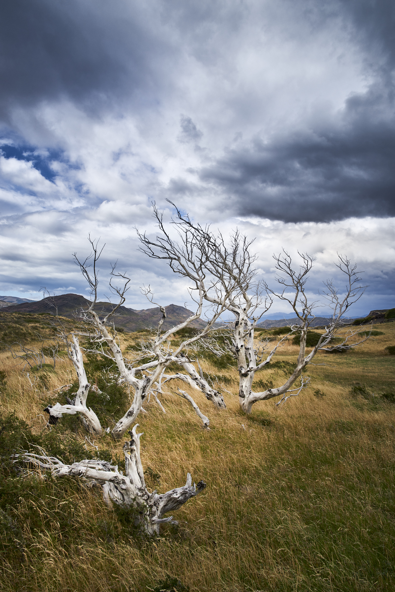 Mal wieder was aus Patagonien