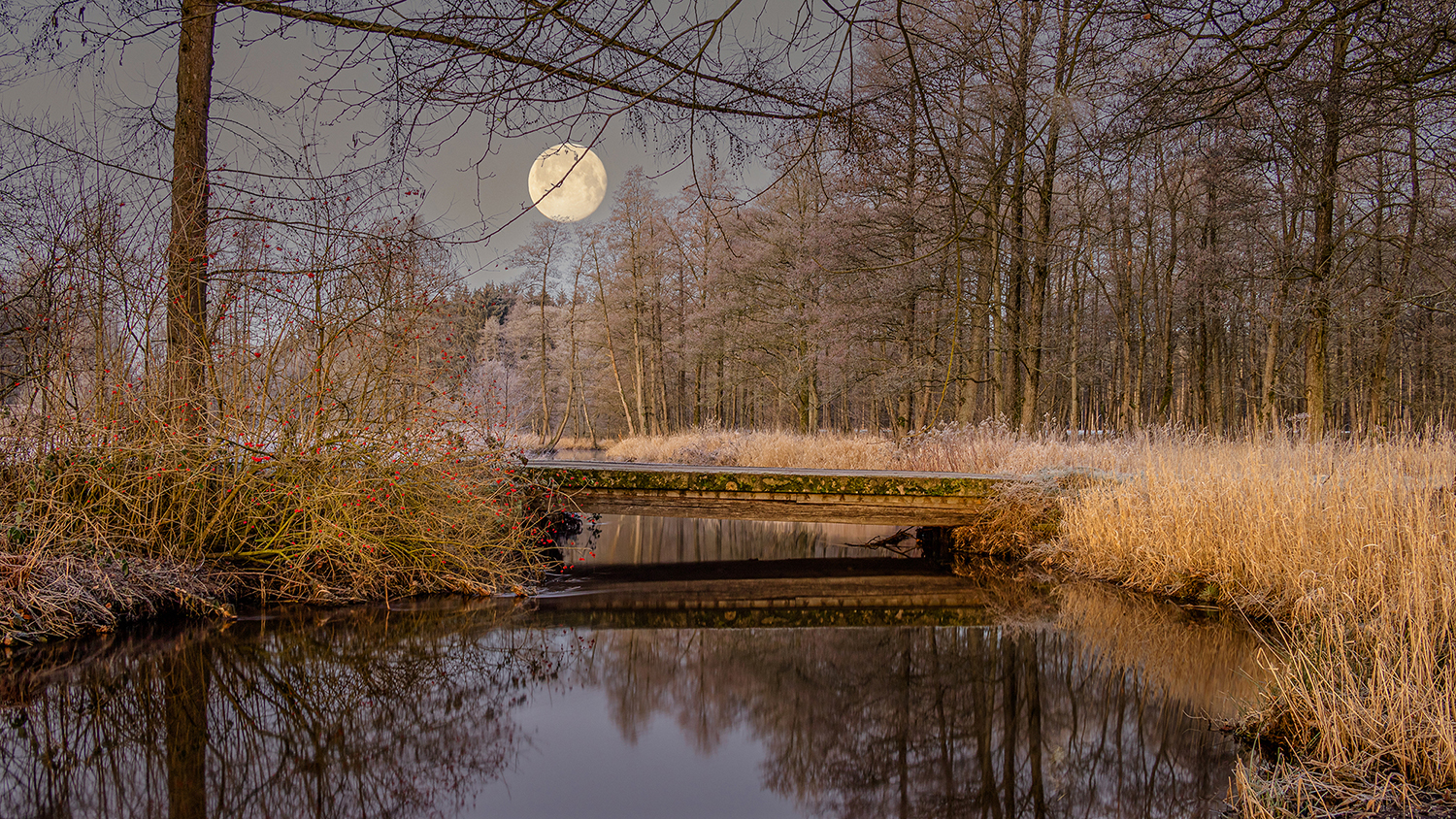Mond