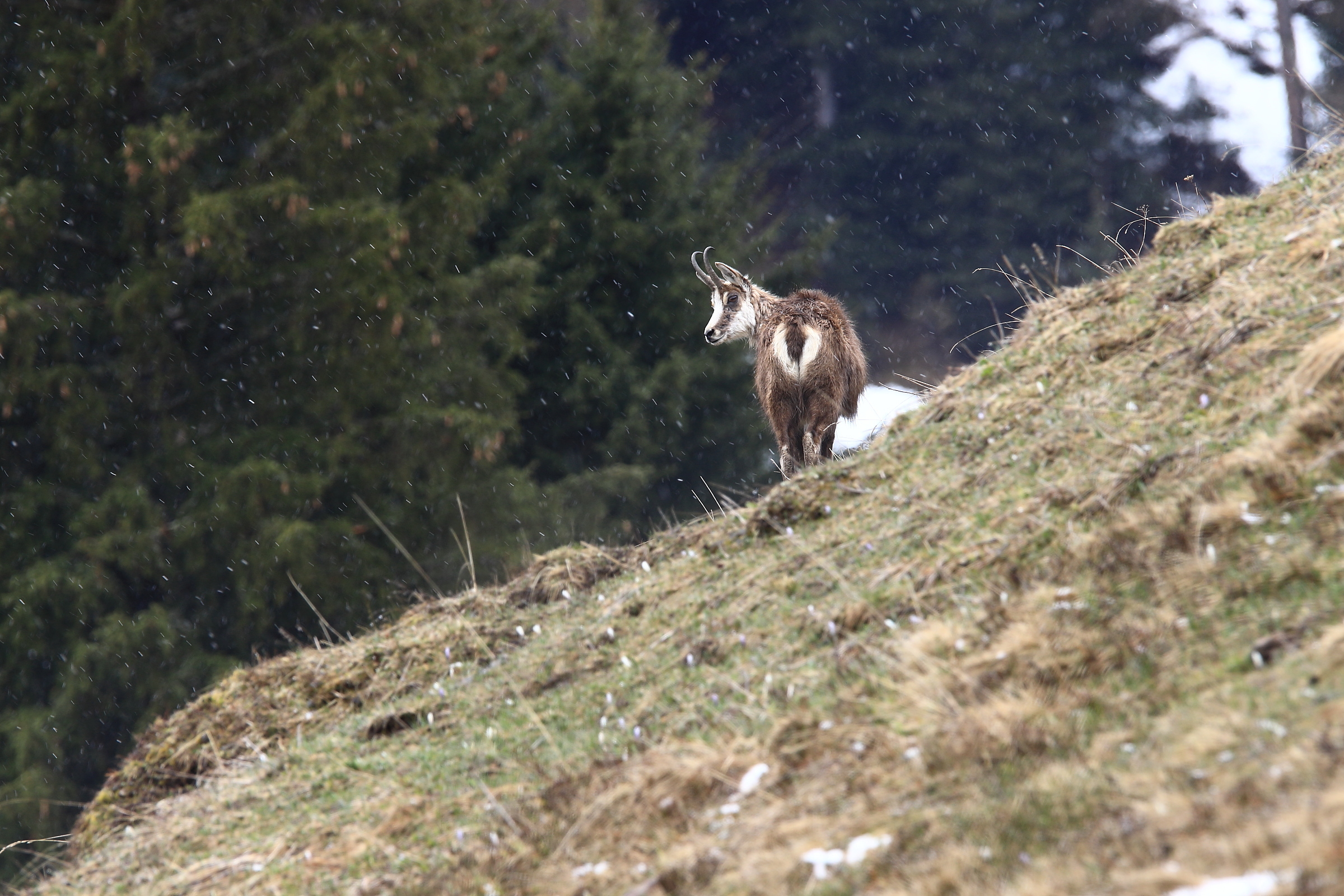 Aprilwetter