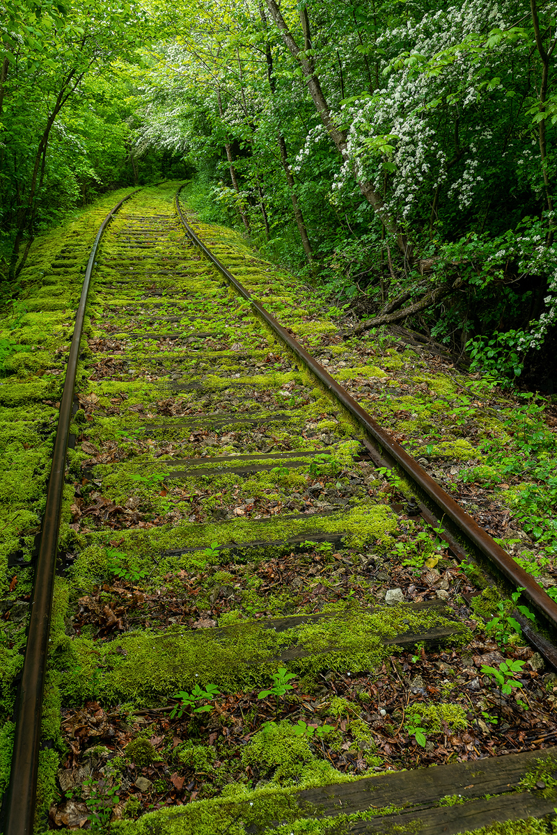 Rail to nowhere