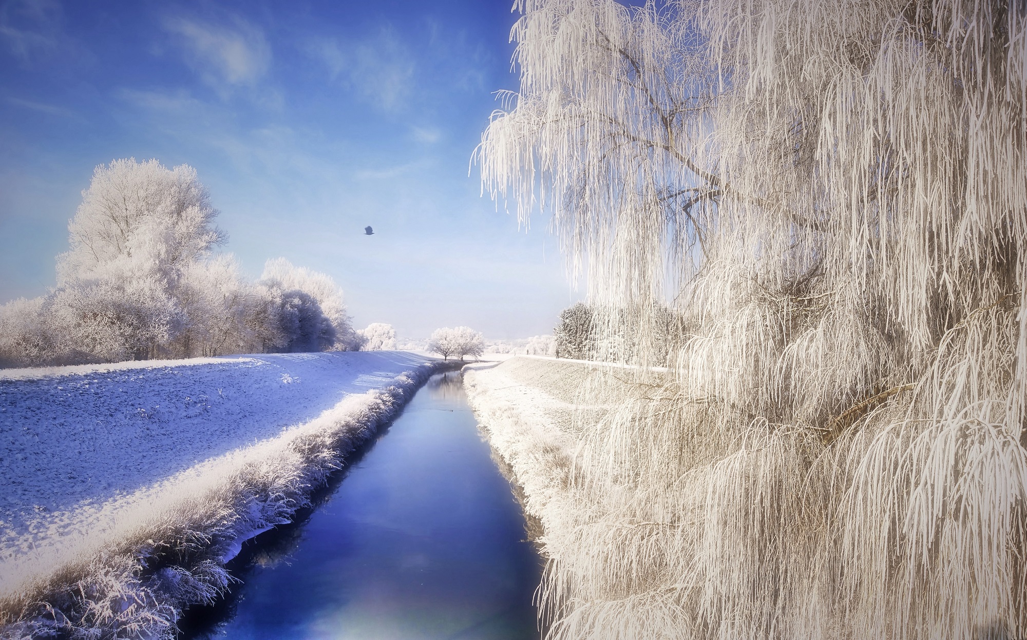Eiszeit