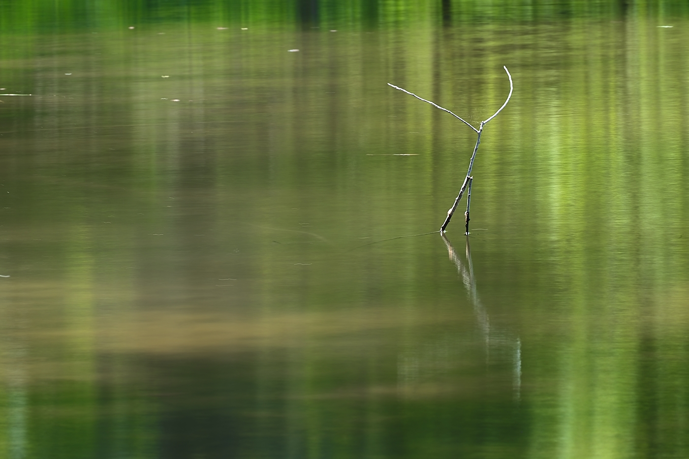 Der Dirigent auf dem Wasser