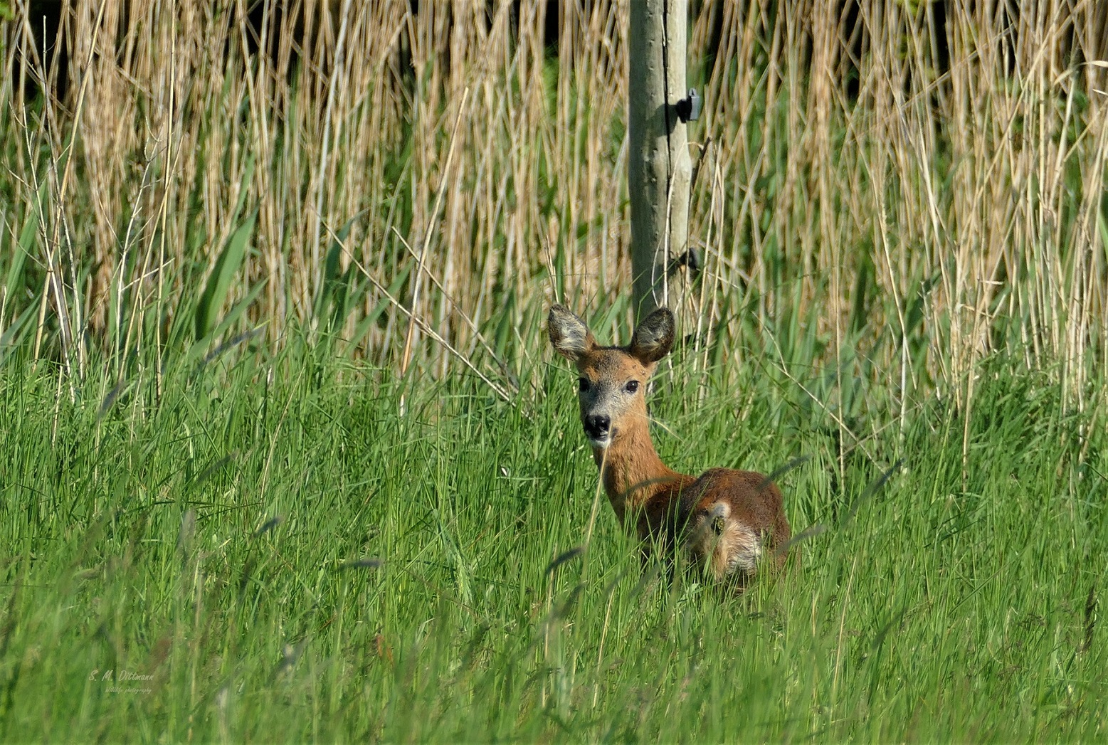 Der Blick zurück