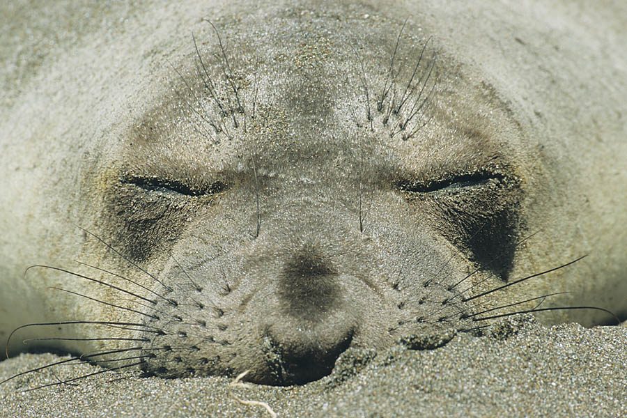 Strandurlaub