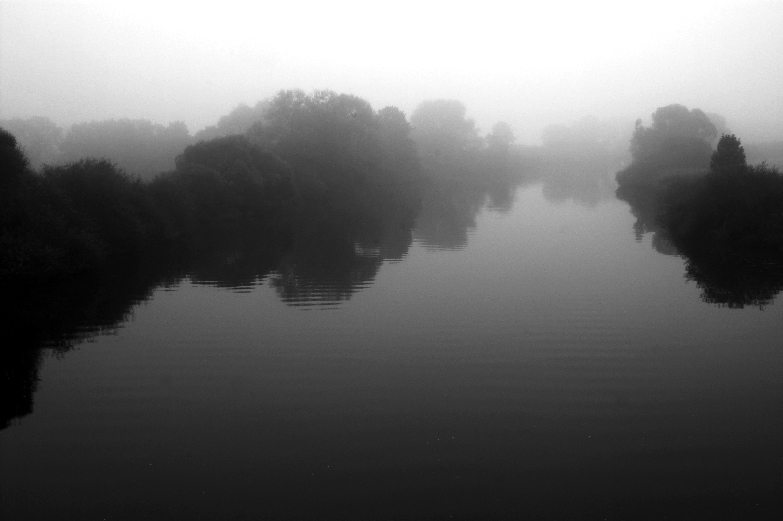 Morgennebel