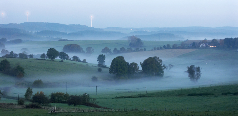 Morgennebel ND