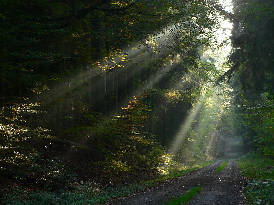 Morgenstimmung ND