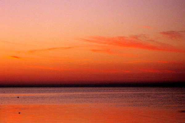 Abendstimmung am Etang du Vaccares ND