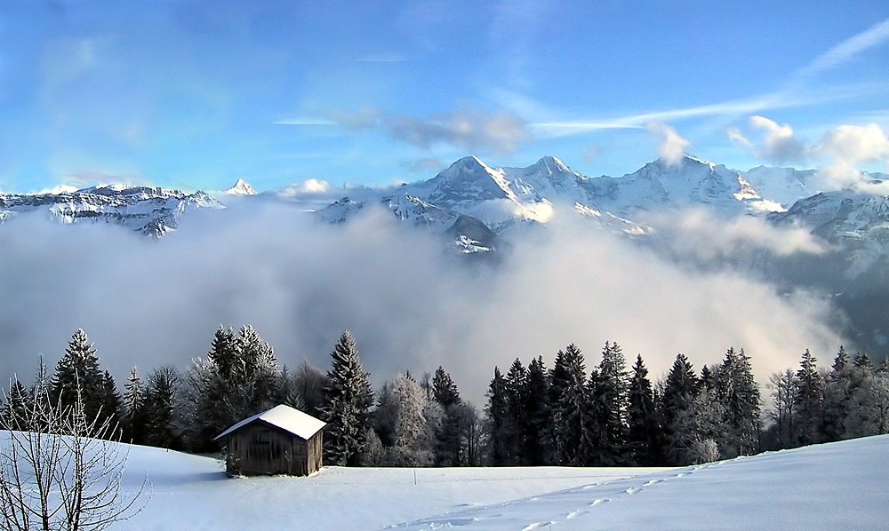 Berner Alpen II ND/EBV