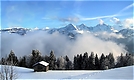 Berner Alpen II ND/EBV