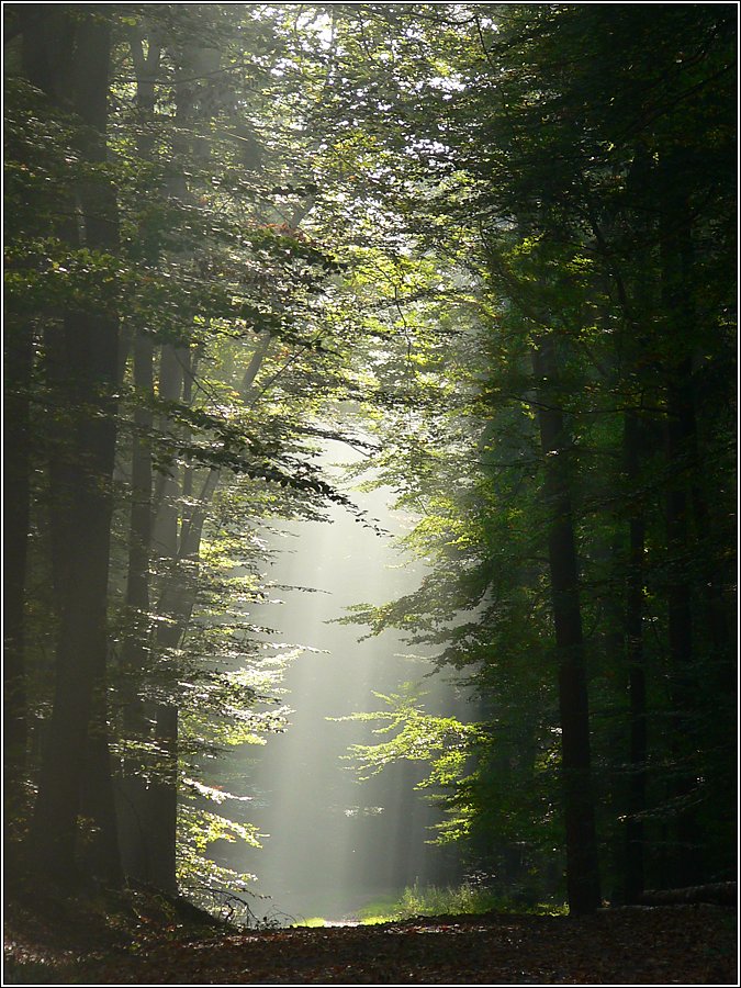 Beam me up! ND