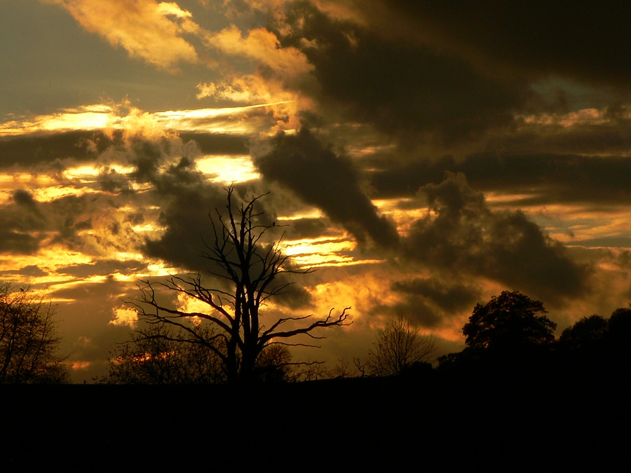 Untergang... ND
