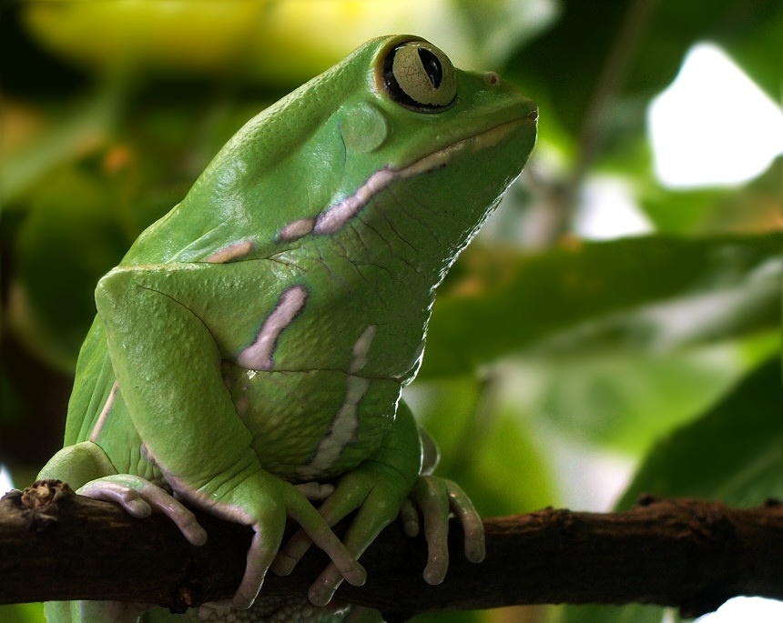 Was gibts da oben? (Forum für Naturfotografen) Was gibts da oben? (Forum für Naturfotografen)