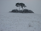 Täppelberg bei Reif ND