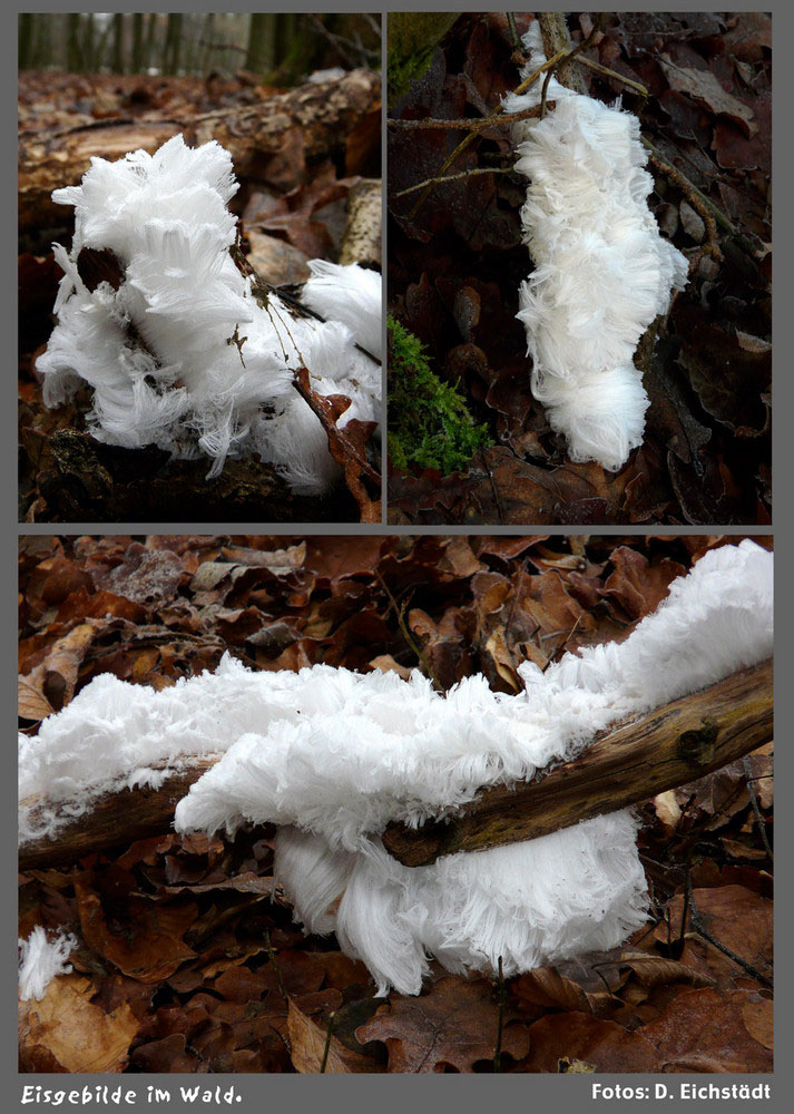 Eisgebilde im Wald