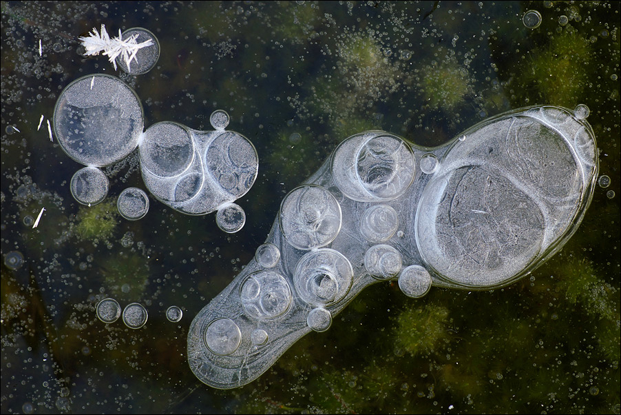 Eiskalt