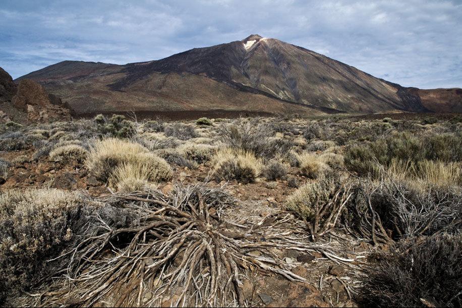 Teide, Canadas National Park, Teneriffa