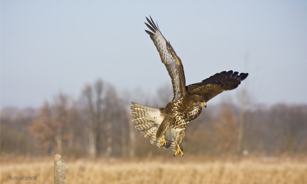 Abflug eiskalt erwischt