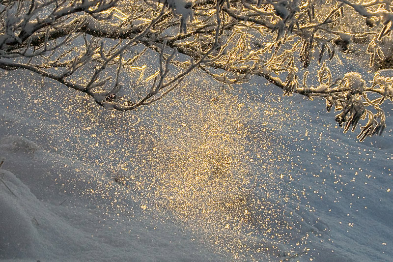 (Schnee)sternenregen