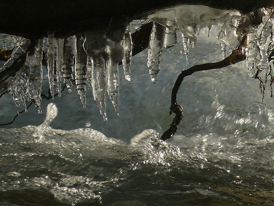 Eiszapfen im Wimbach