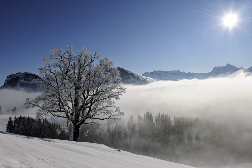 unten Nebel oben Sonne