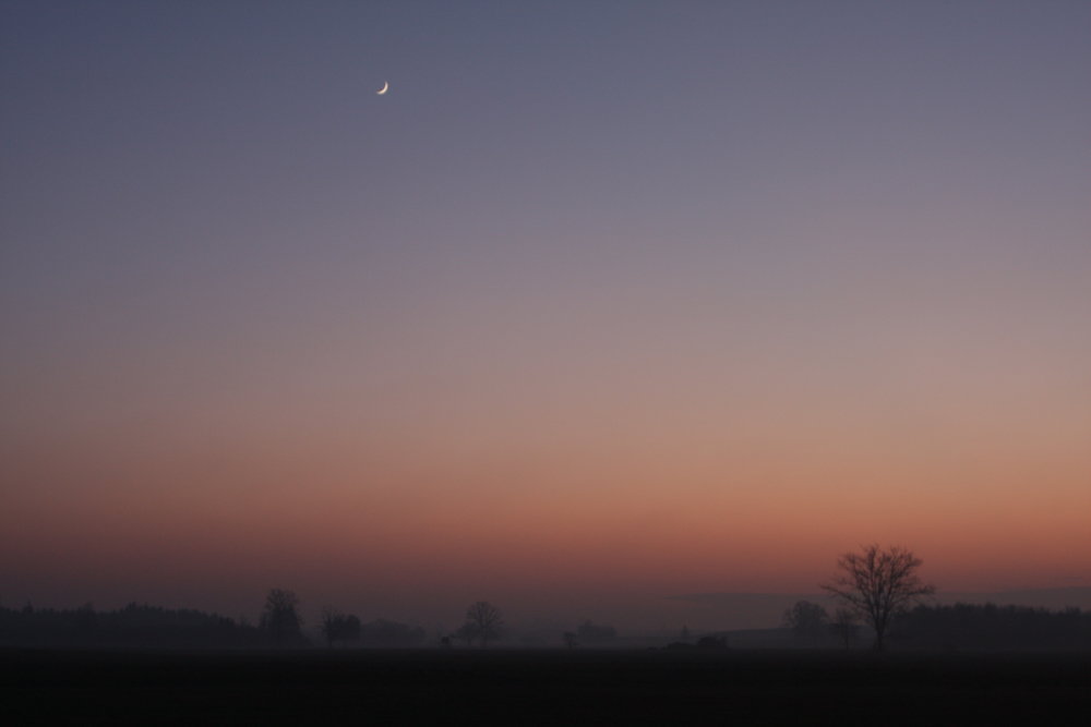 Sonnenuntergang am Waldrand