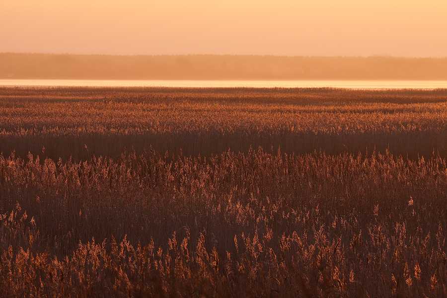 Abend am Bodden