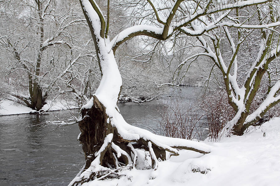 Schnee bei mir daheim...