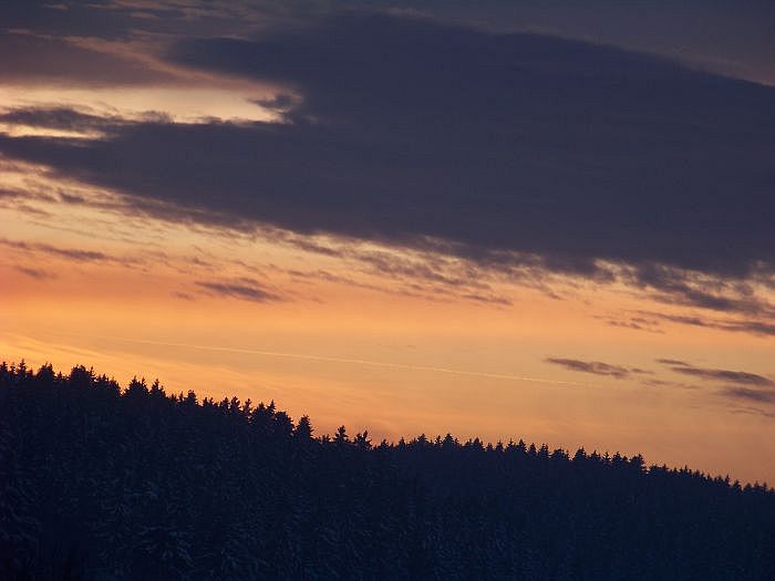 Dämmerung im Winterwald