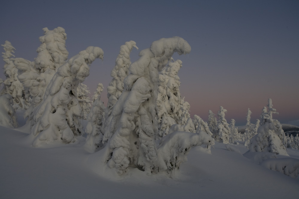 Schneegeister kurz nach Sonnenuntergang