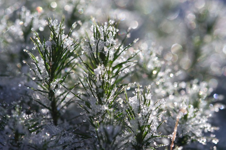 kleine Glitzerwelt