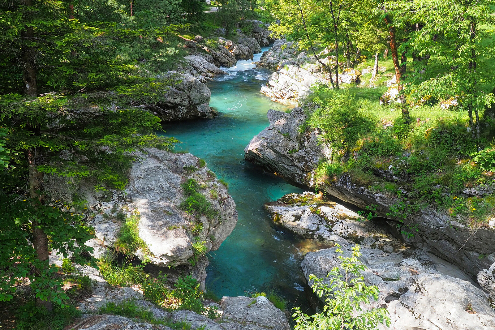 Soča