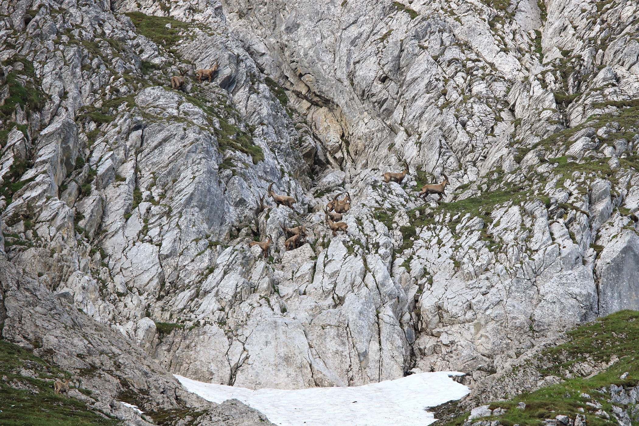 Nun ab in den Schatten II