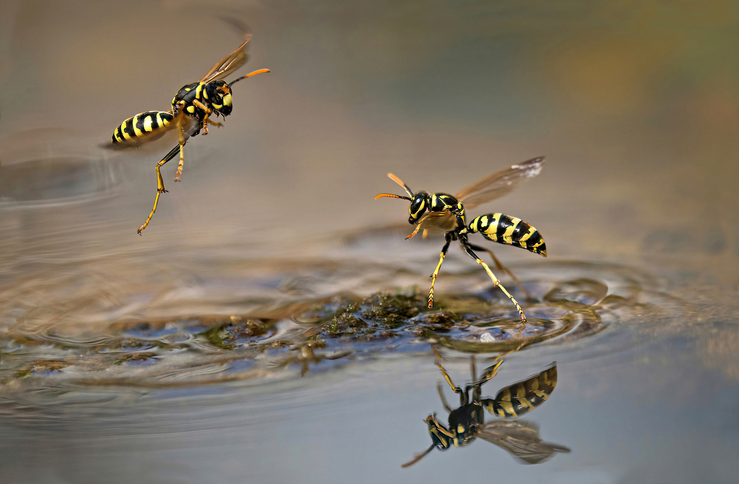 Flugbetrieb