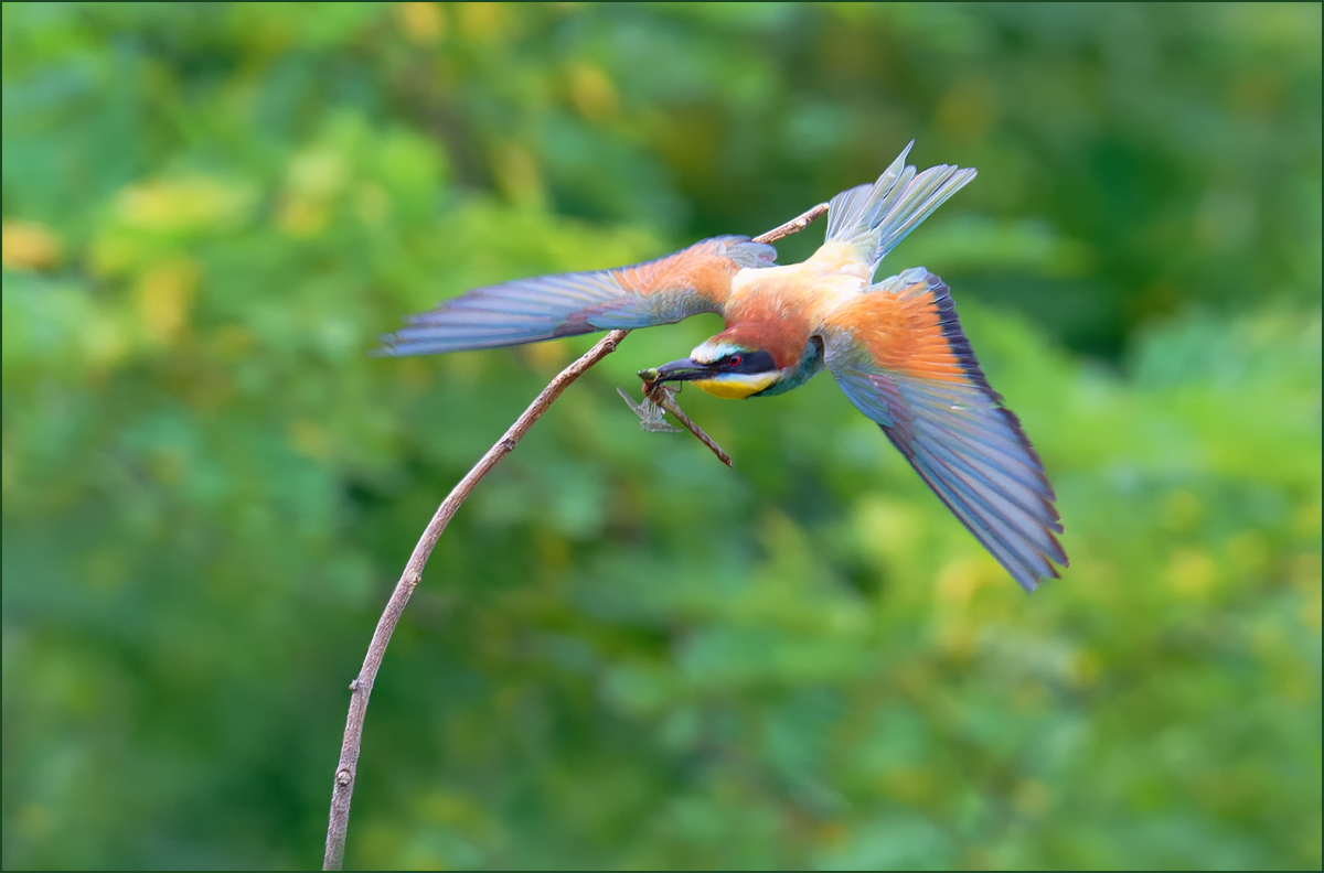 *Abflug*