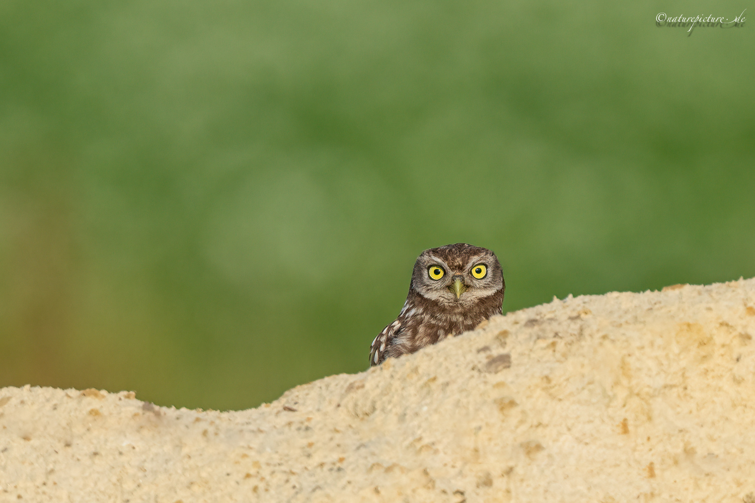 Verstecken ?