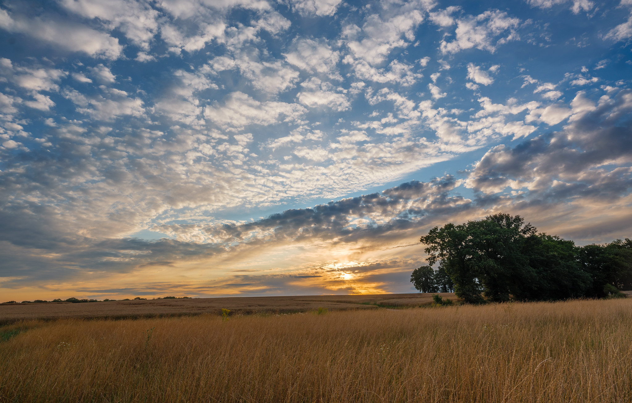 Sommer am Niederrhein