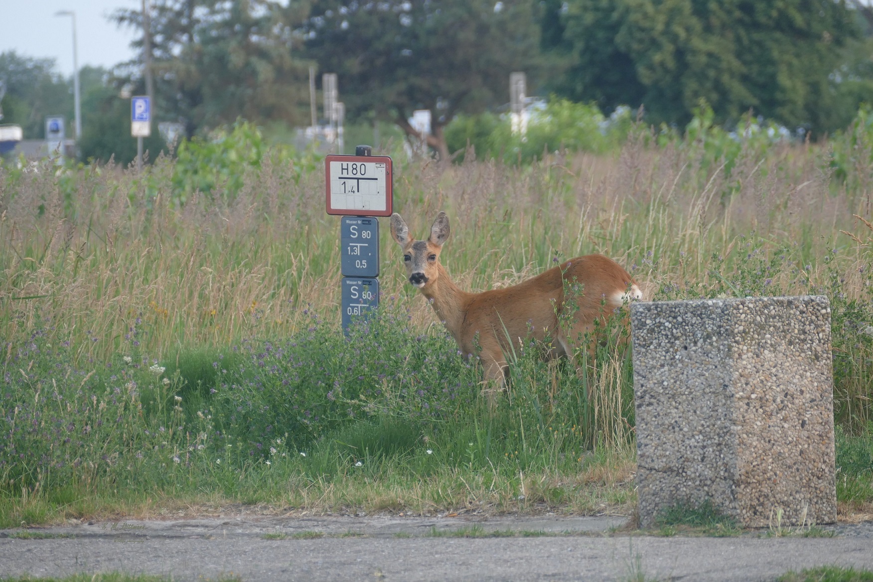 Vor der Haustür