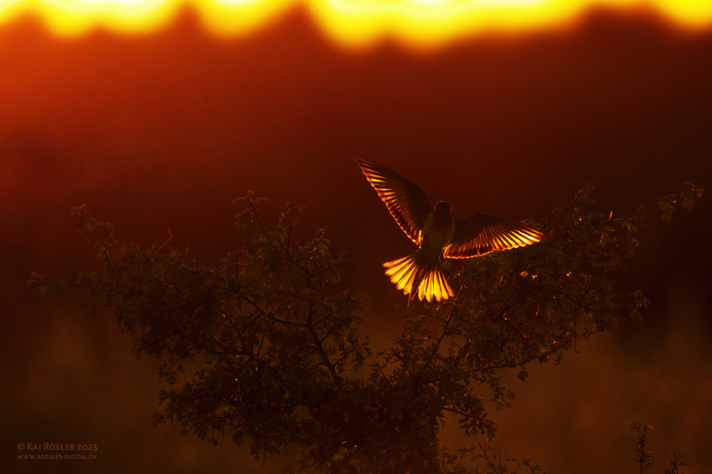 Landung im Abendlicht