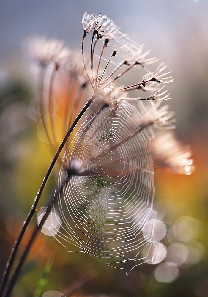 Herbstbunt