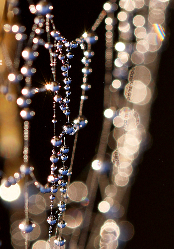 Goldschmuck